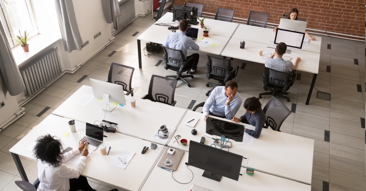 employees working in office