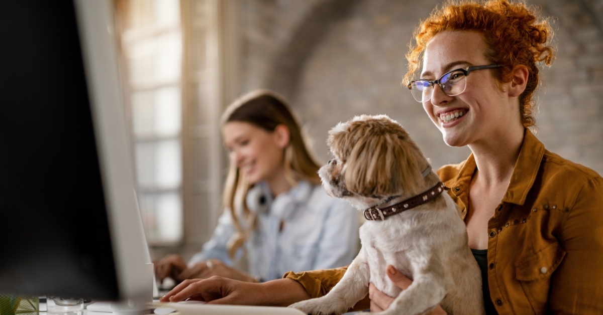 employee working on a desktop with pet 