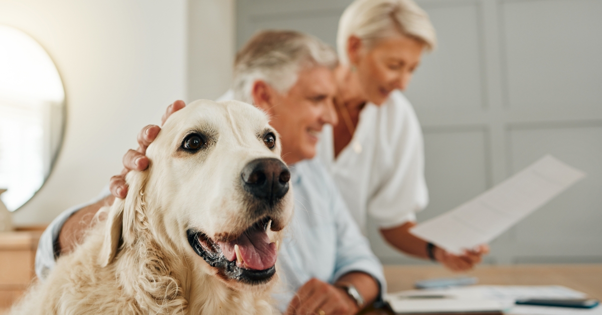 elderly couple and dog pet