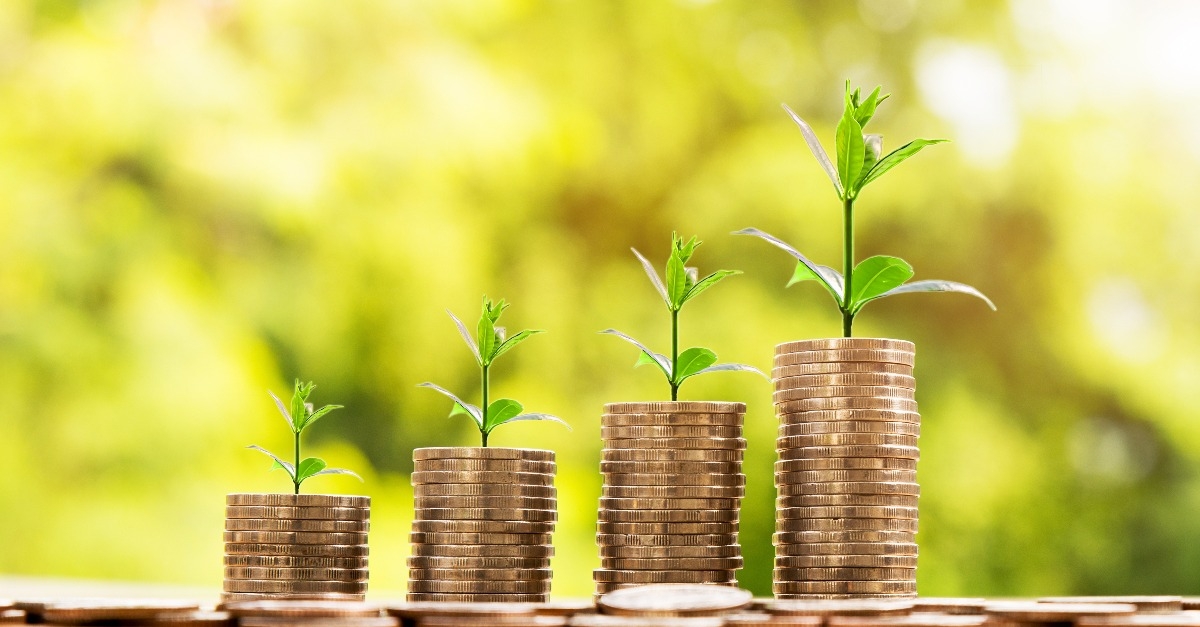 trees on pile of coins money