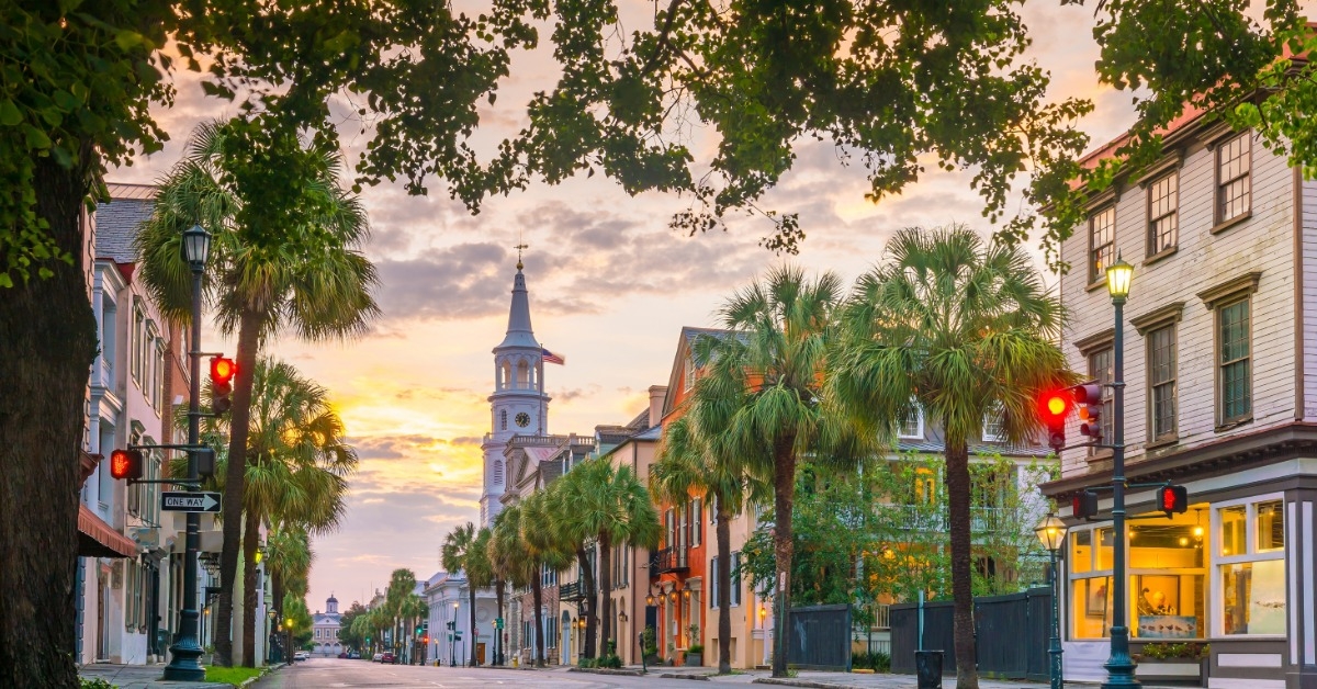 palm trees and lights in charleston 