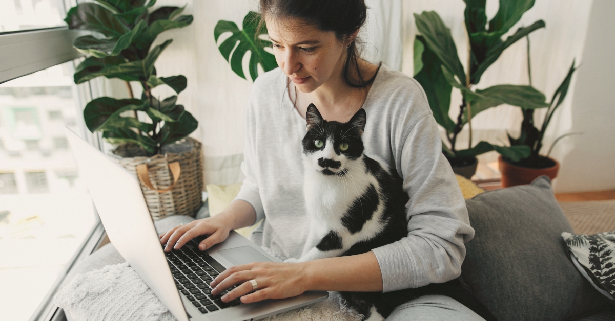 woman working on laptop with her cat