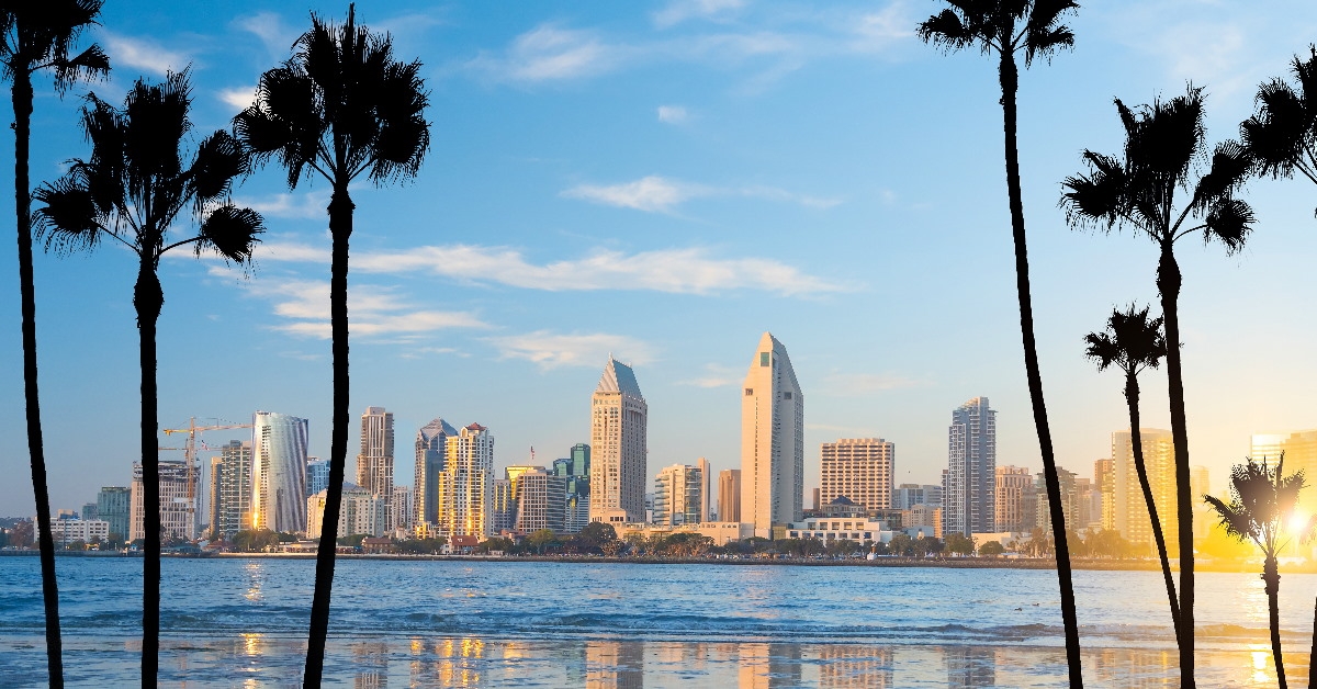 san diego skylines in front of water and palm trees