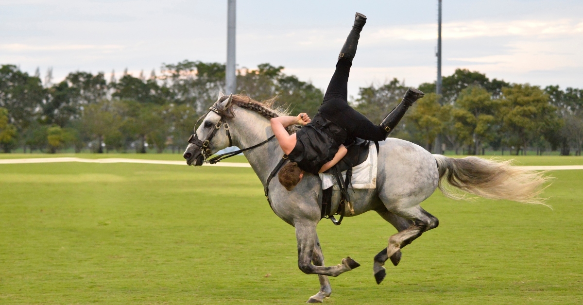 riding stunt horse