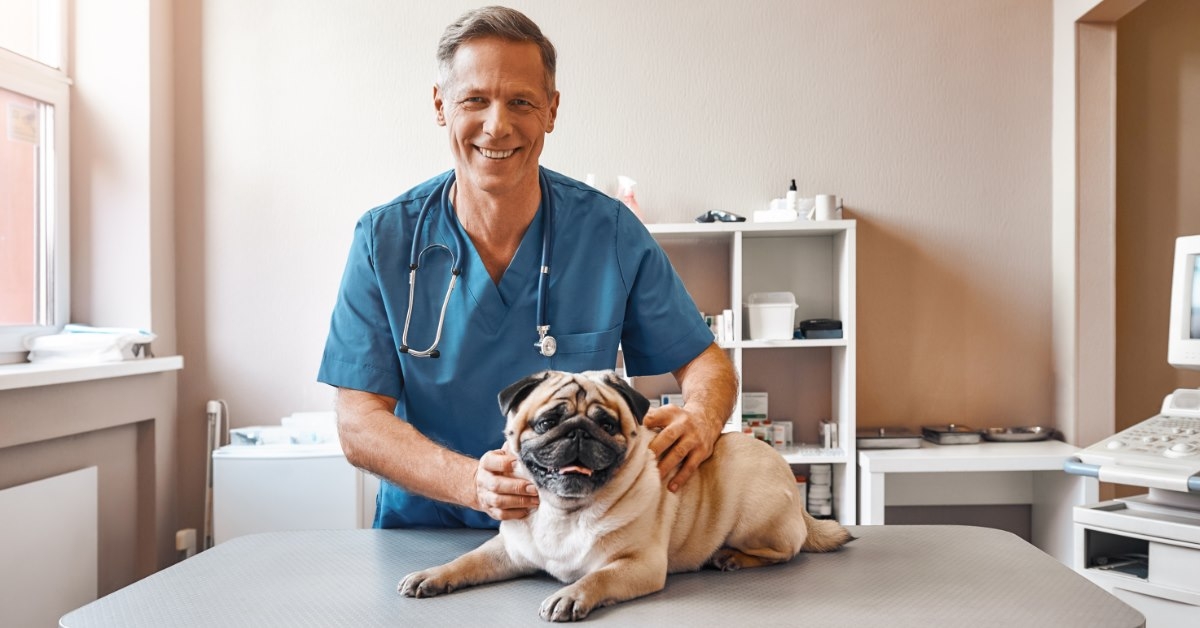 senior male vet standing besides pug on counter posing for picture