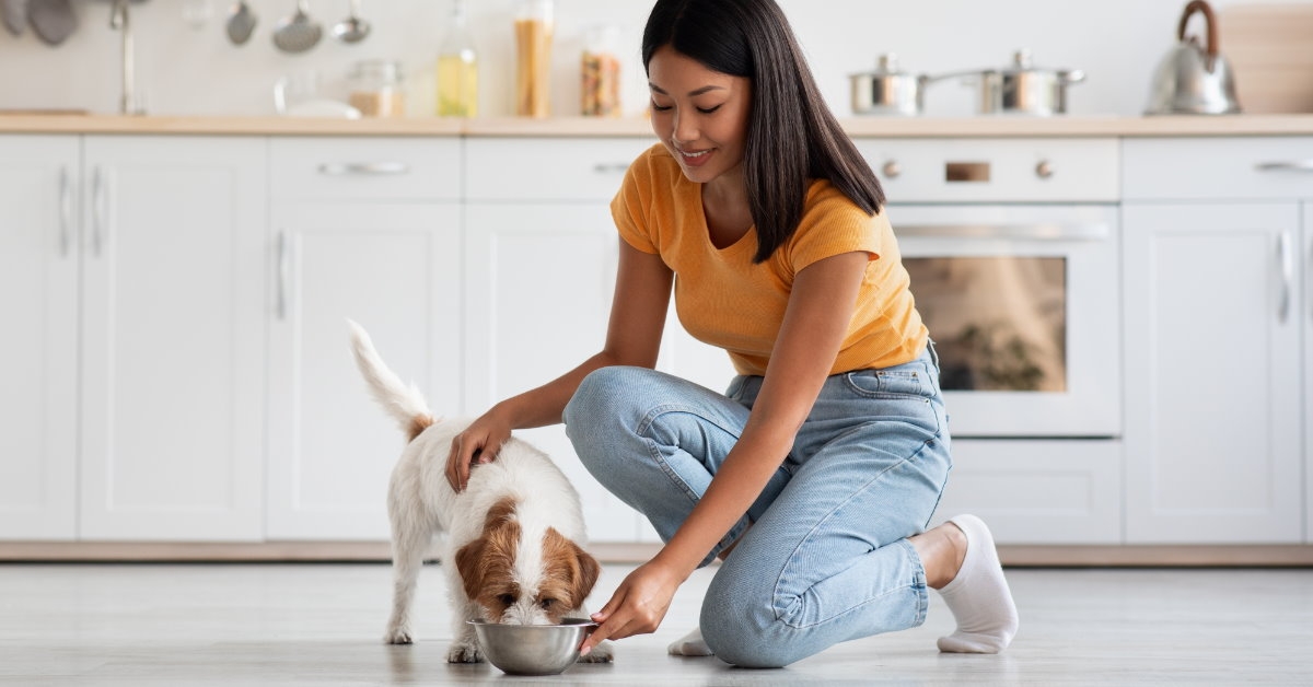 woman sitting on kitchen floor petting dog while feeding food