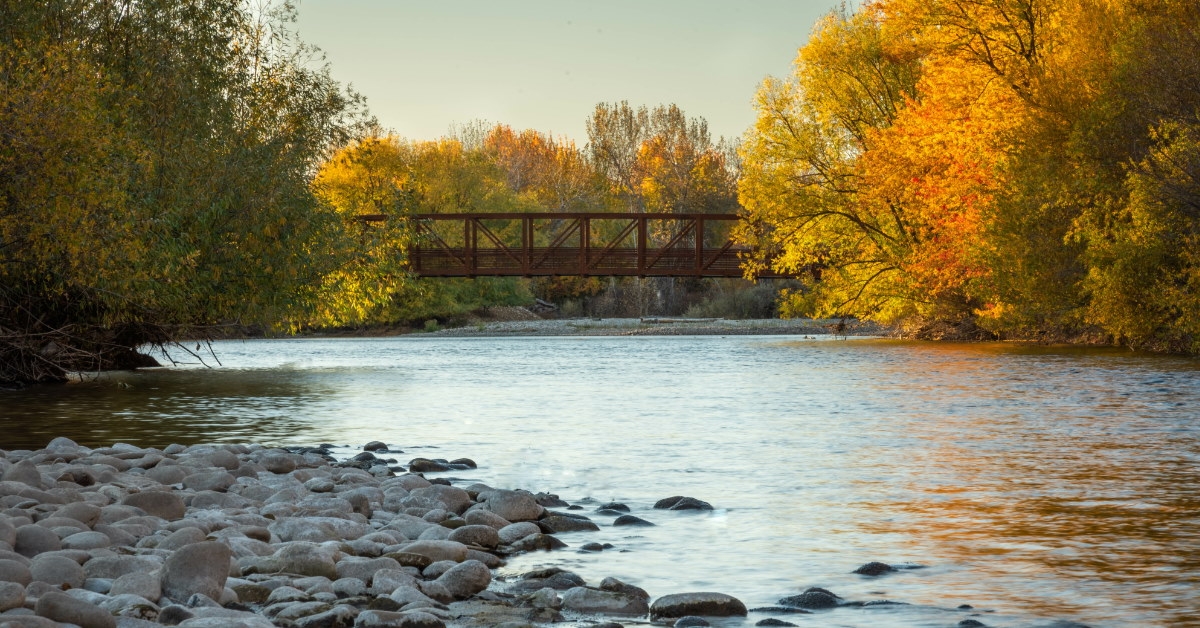trees with orange leaves besides boise river in idaho during fall season