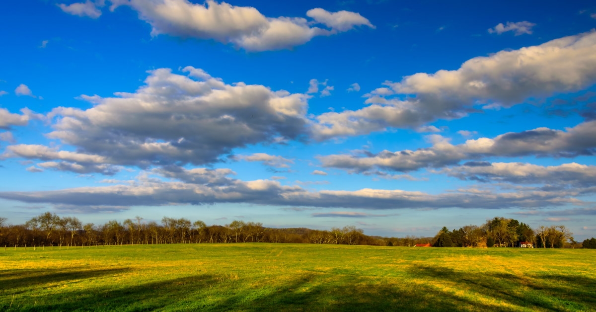 lush green grass surrounded with trees in tennessee