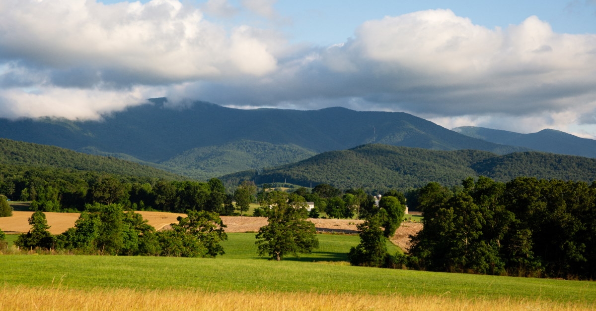 shenandoah mountains with lush green fields in luray virginia 