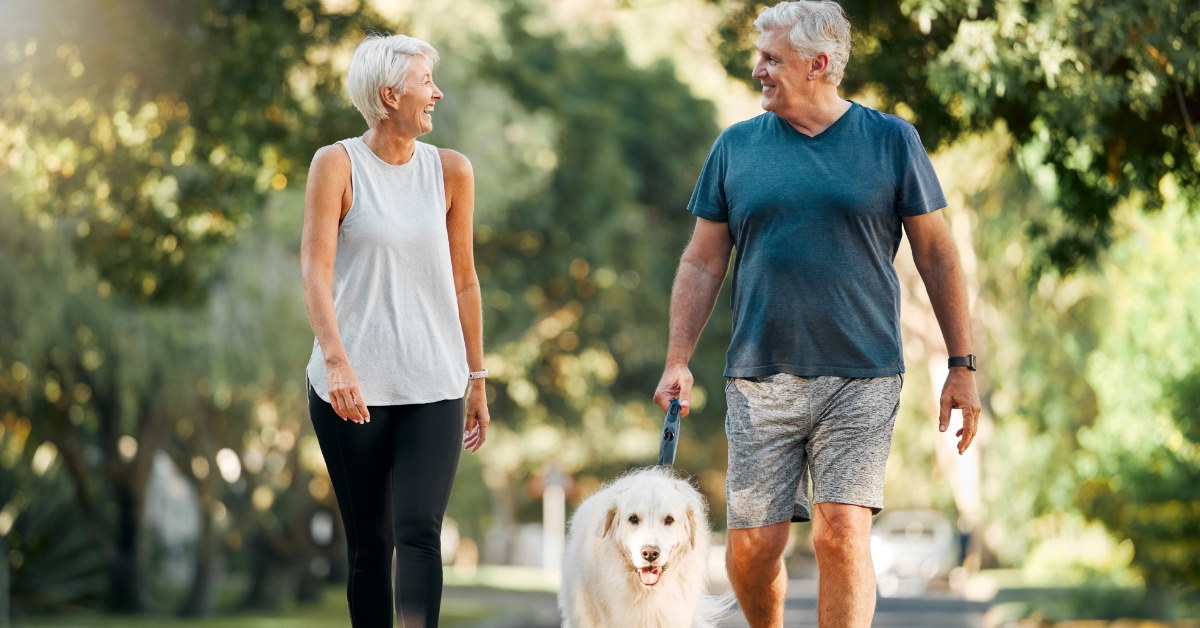senior couple walking with dog in park