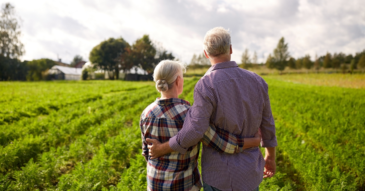 happy senior couple at summer farm