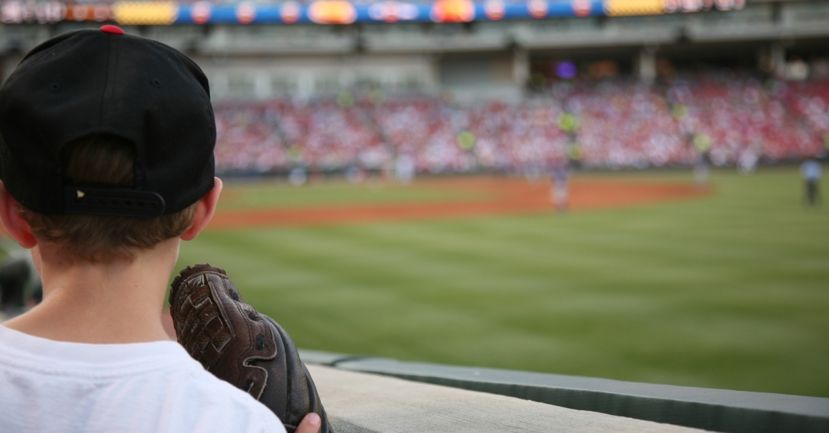 young baseball fan watches the major league
