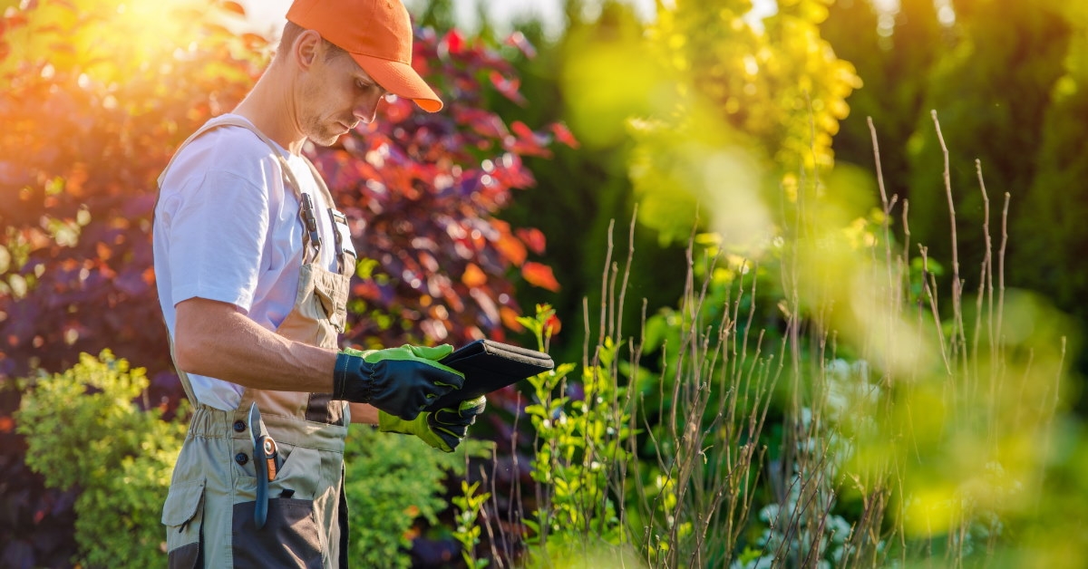male gardener standing in garden using tablet to inspect flowers during day time