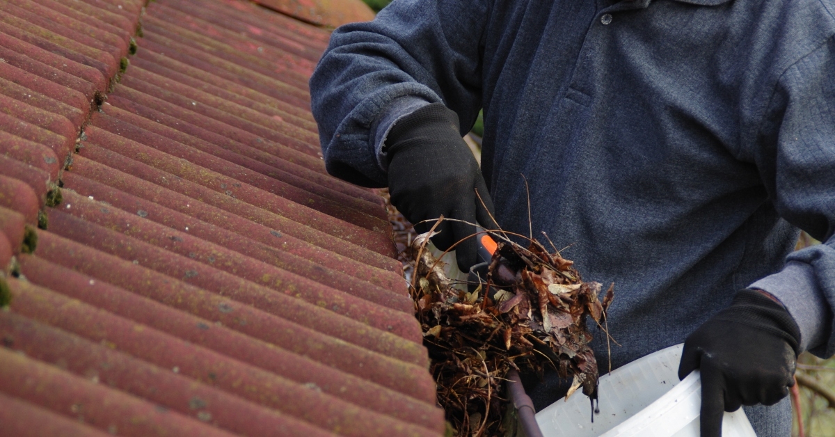 man cleaning gutter from moss and leaves