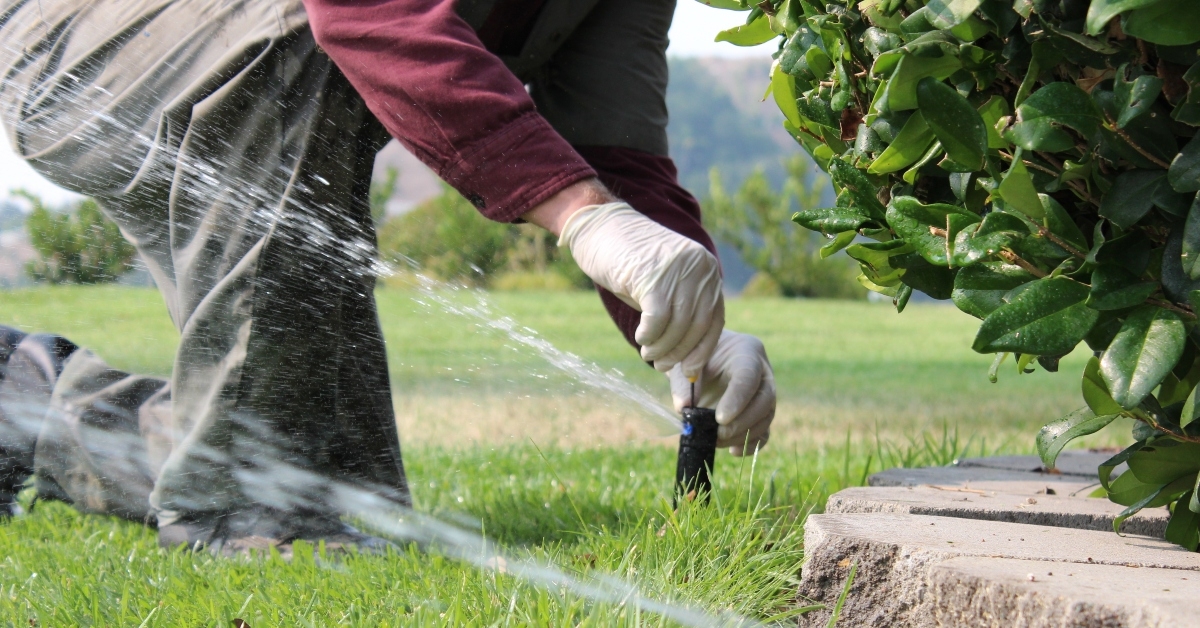 man gardener worker kneeling down adjusting water sprinkler