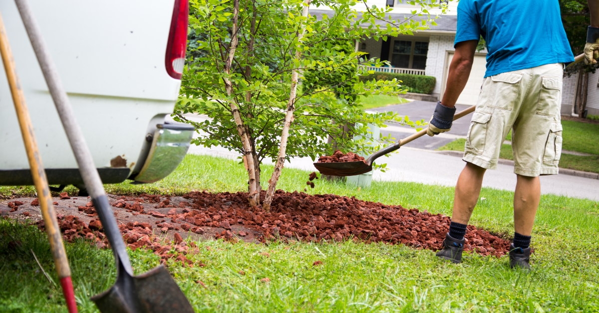 male gardener standing in garden clearing out autumn leaves