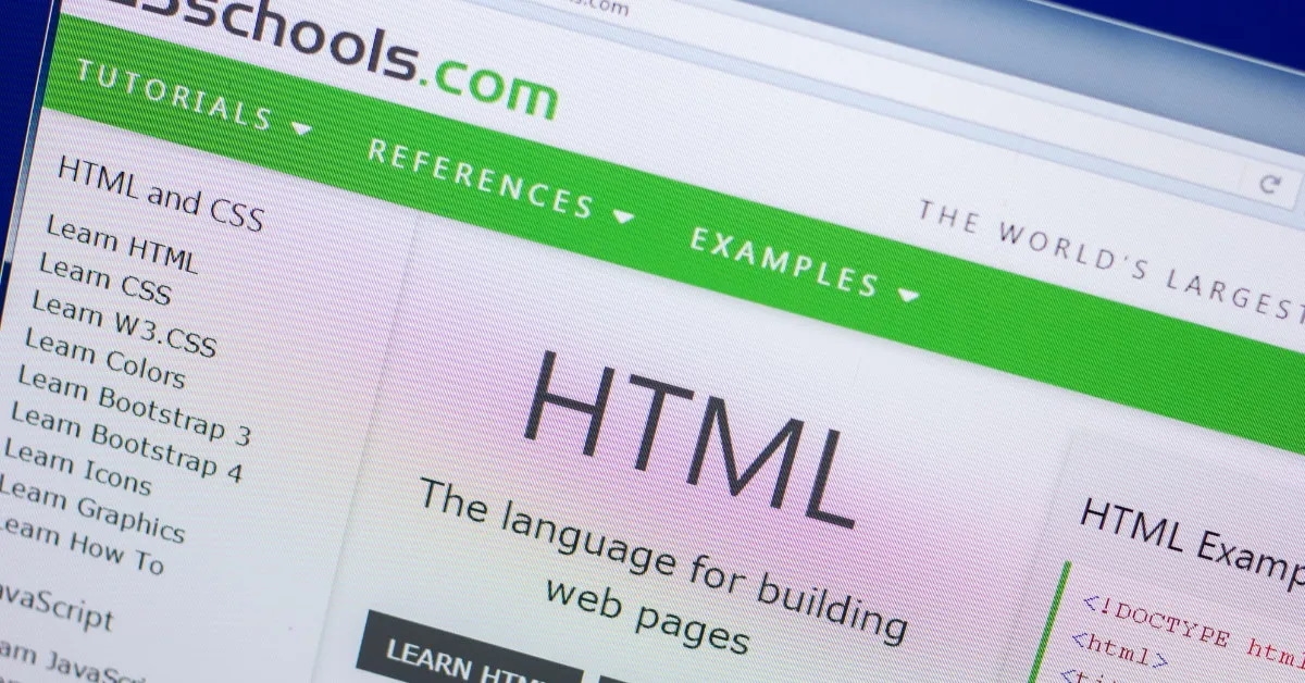 w3schools website