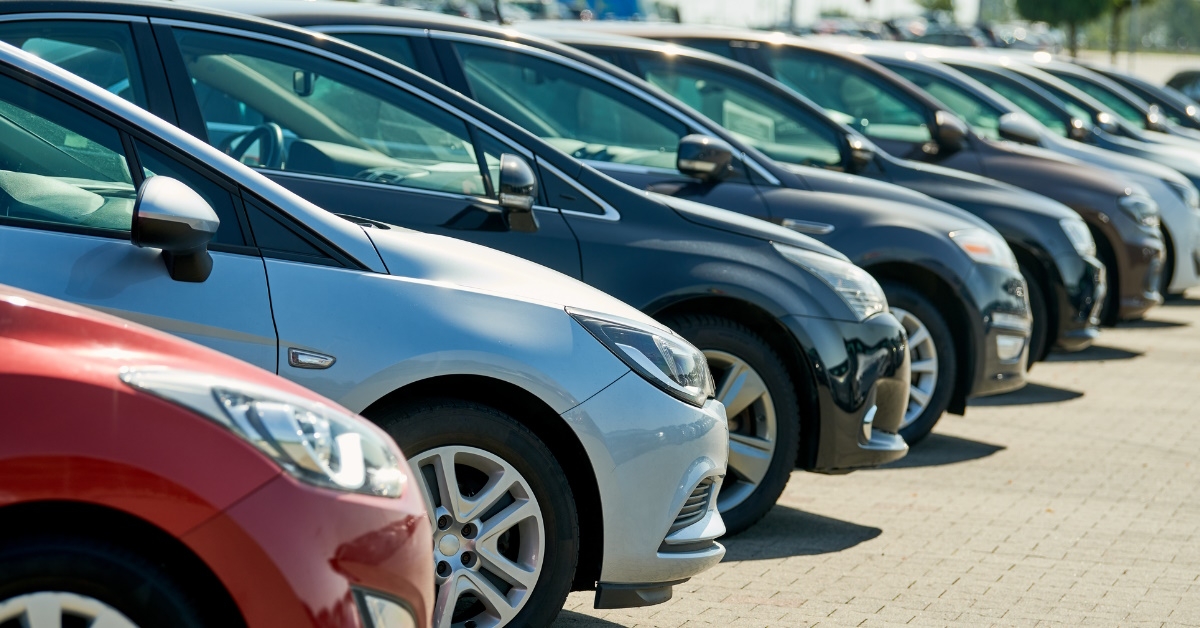 cars standing in rows for sale at showroom during day time