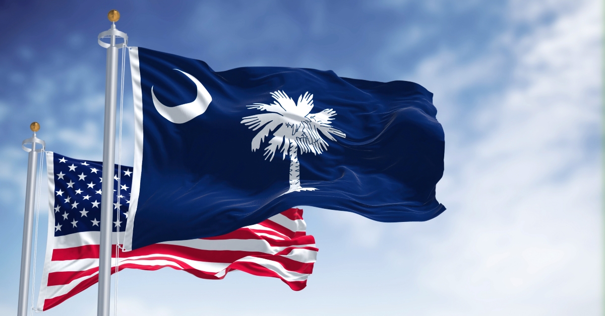 South Carolina state flag waving