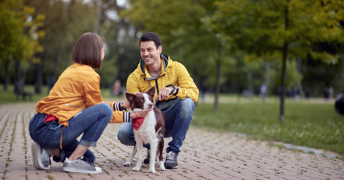 young people getting know each other by talking about pets