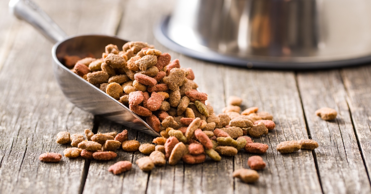 dry pet food