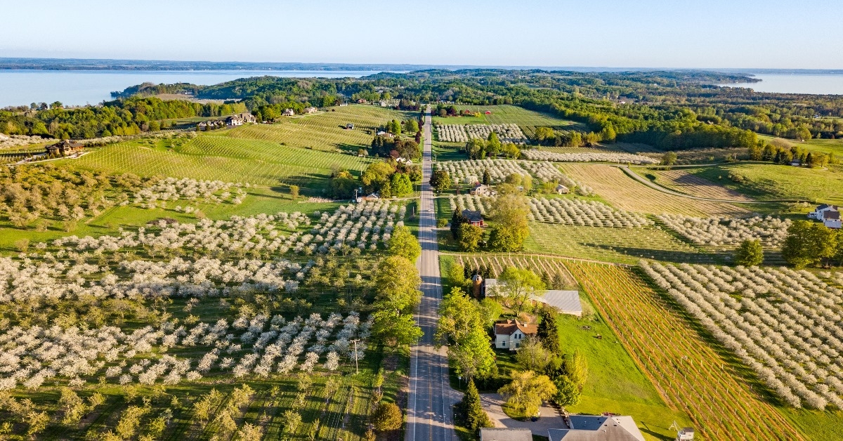 aerial shot of vineyards in traverse city in michigan during day time