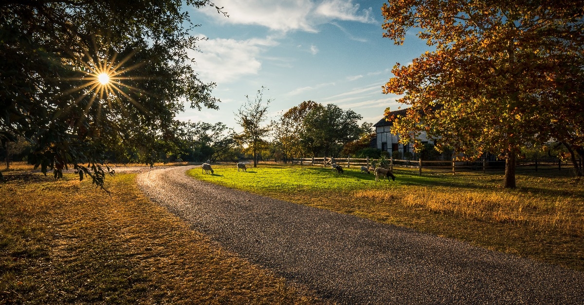 fredericksburg farm road in autumn on a sunny day 