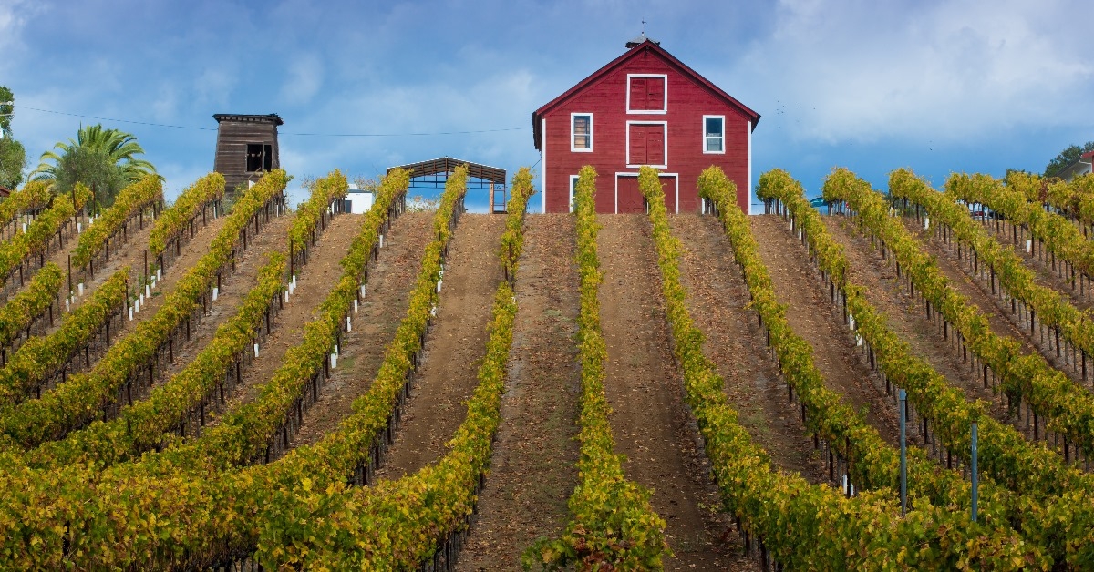 red farmhouse on top of hill in healdsburg california during day time