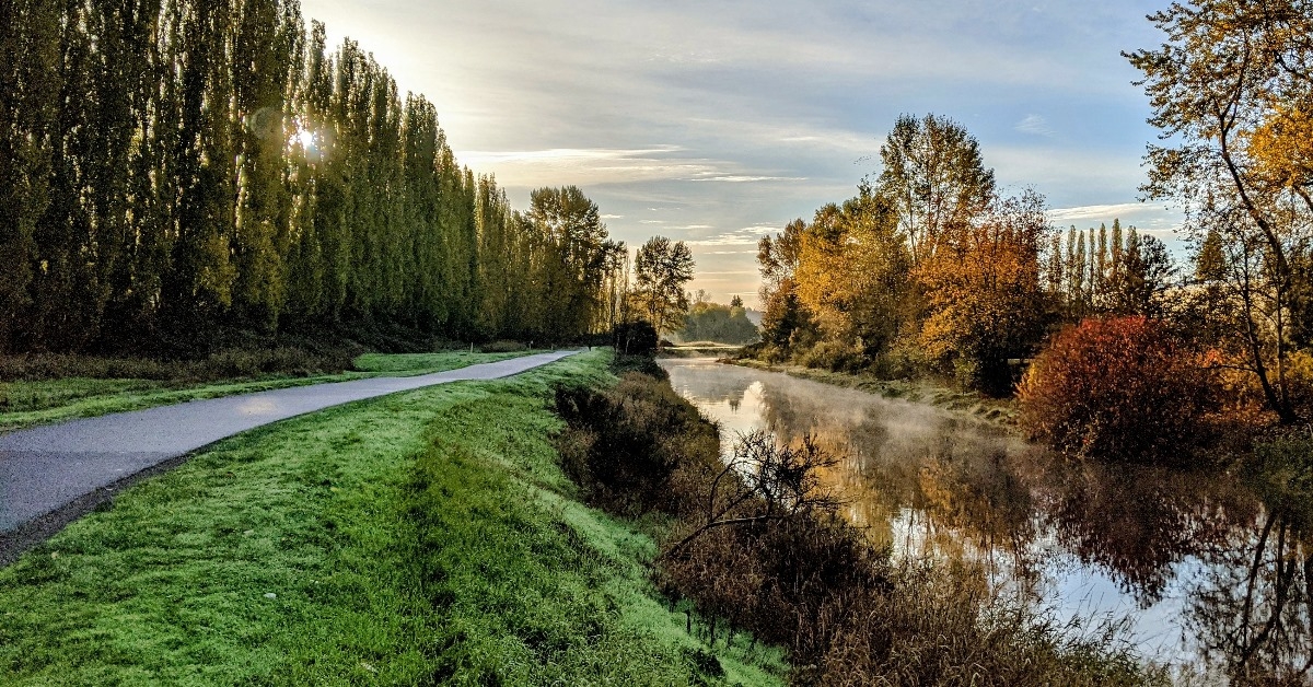 sammamish river in woodinville during day time with vacant walking trails