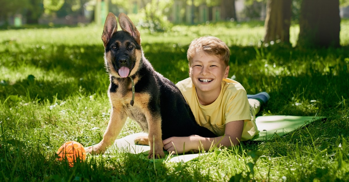 smiling little boy playing with dog