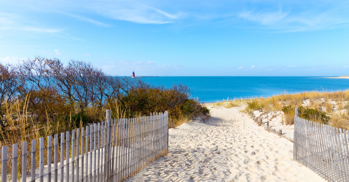 sandy path to the beach cape henlopen