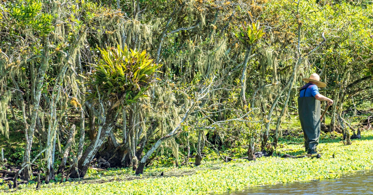 national park worker cleaning lake