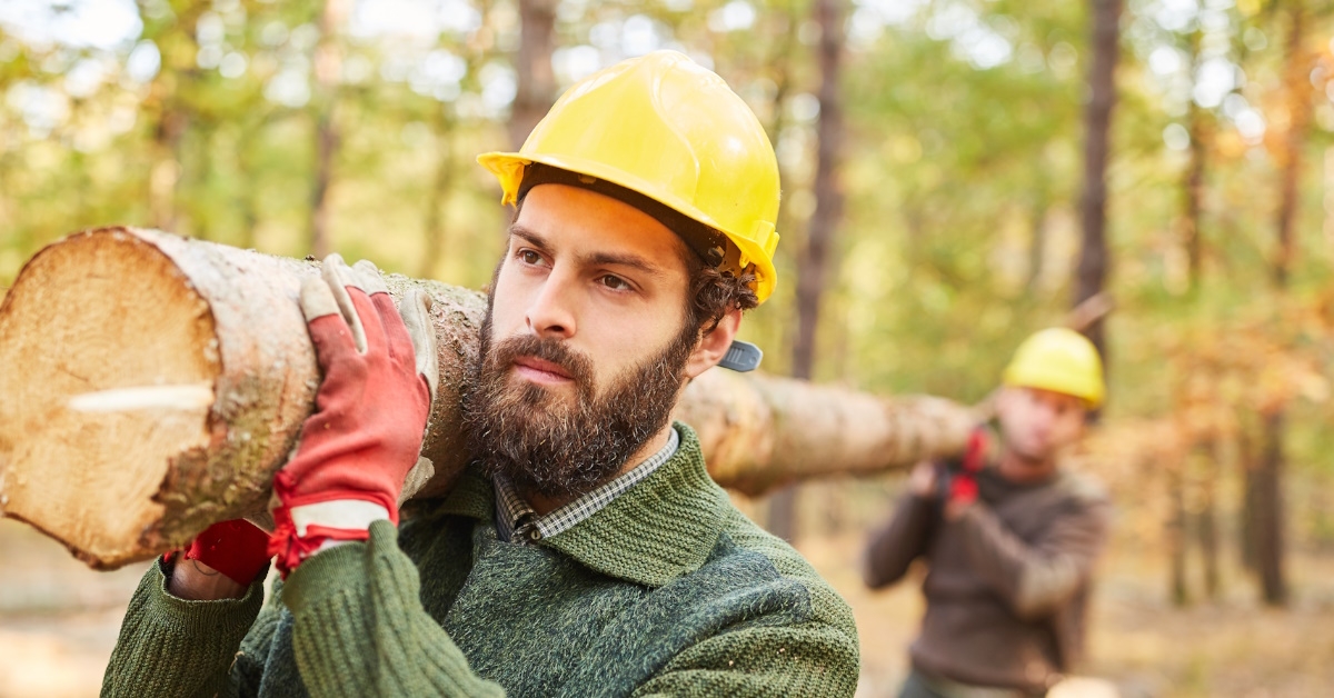 Two lumberjacks carrying felled tree.