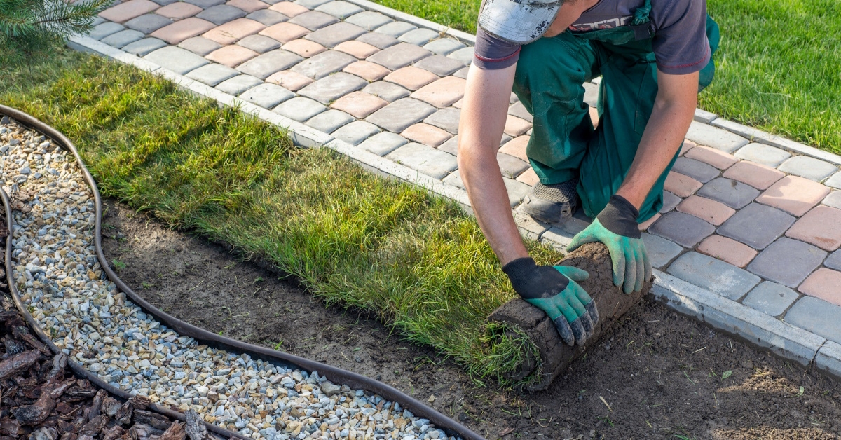 Gardener laying sod