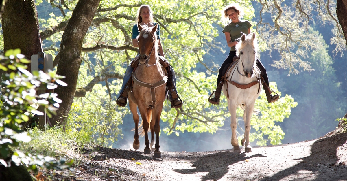 women riding horses in woods