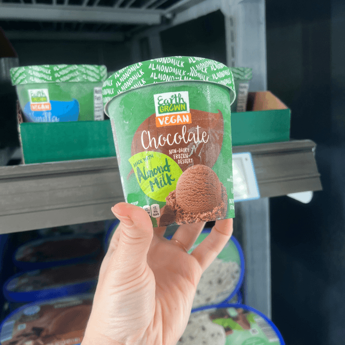 earth grown vegan chocolate ice cream