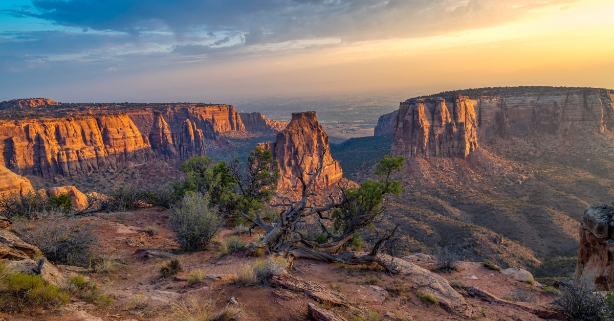 grand junction colorado