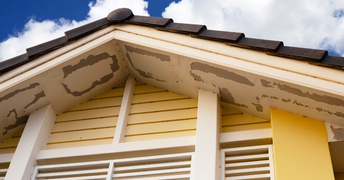 White paint peeling off from roof