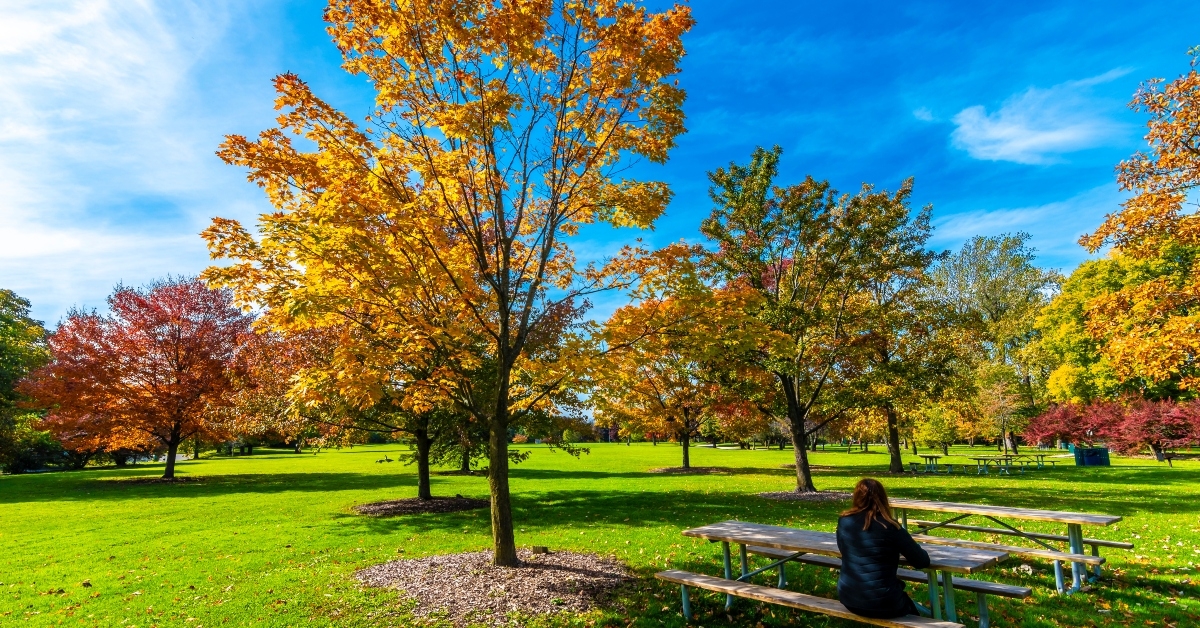 autumn colors in Wilmette park