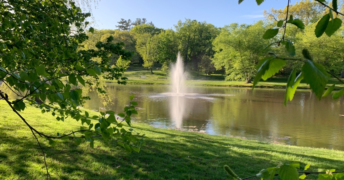 larz anderson park in brookline