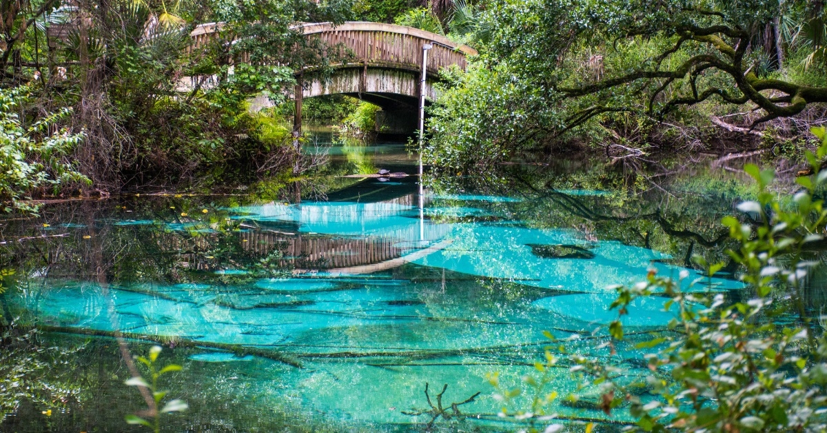 beautiful turquoise water at juniper springs
