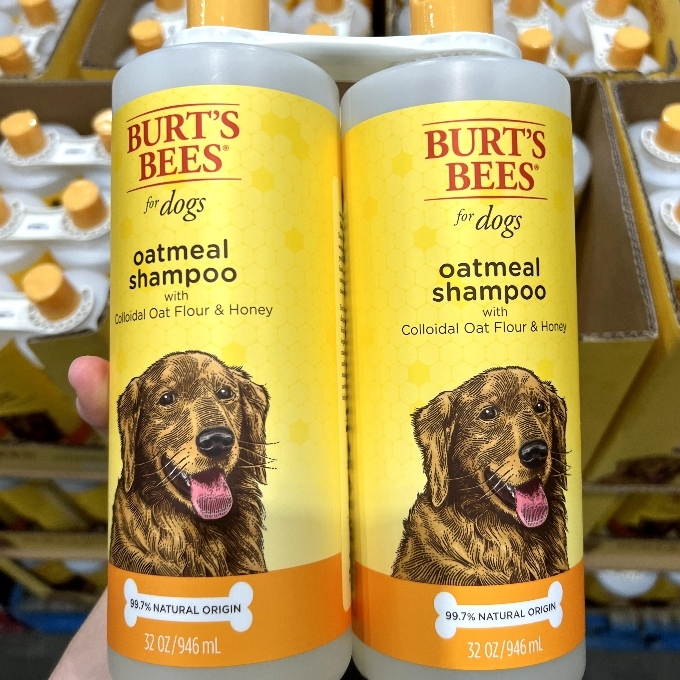 burts bees oatmeal shampoo