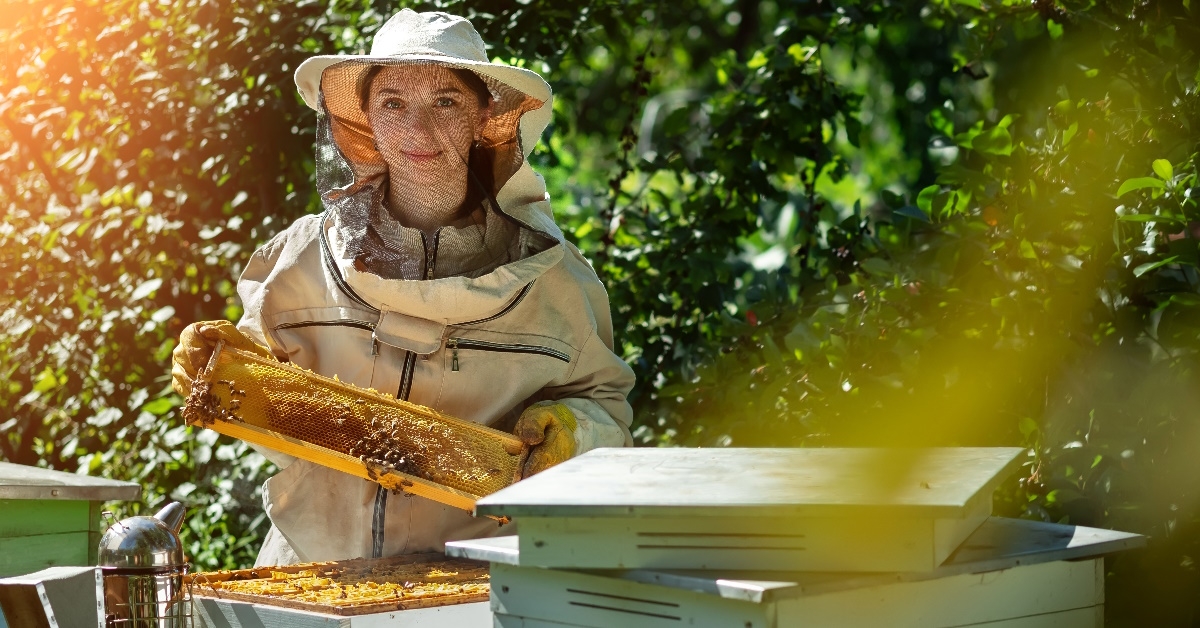 female beekeeper holding wooden honeycomb frame