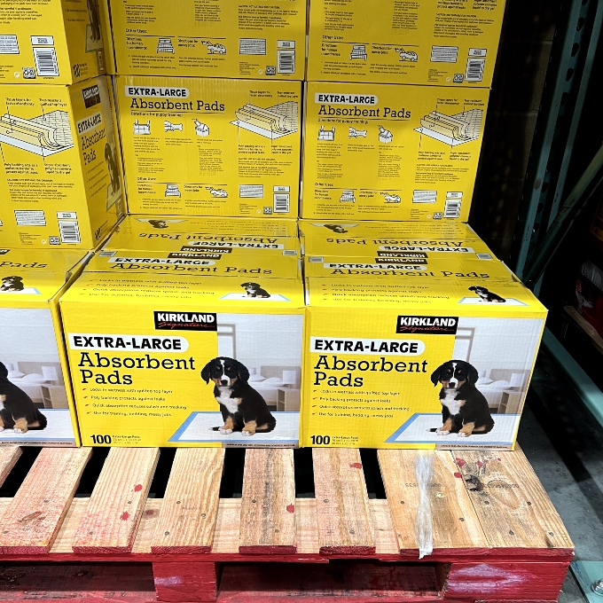 extra-large absorbent pads