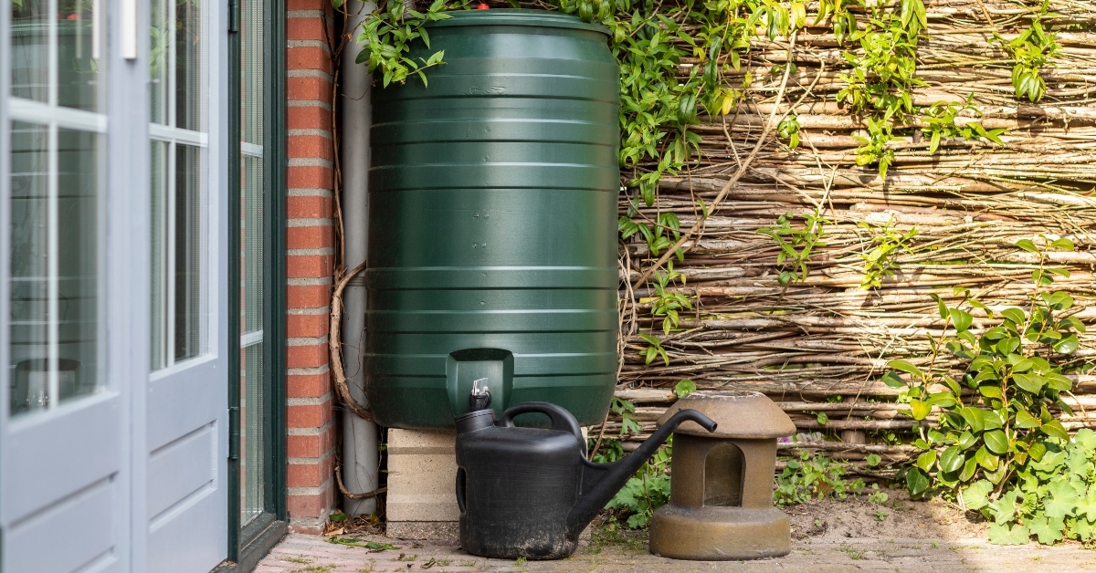 green rain barrel