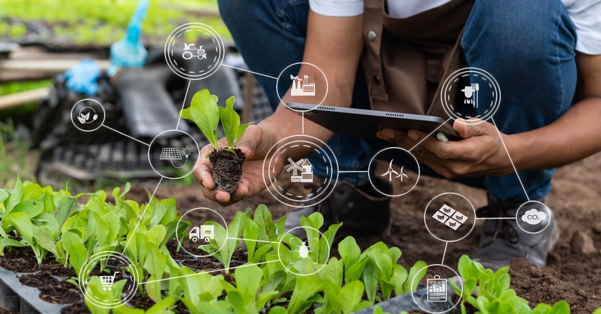A botanist is conducting agricultural research in the field.