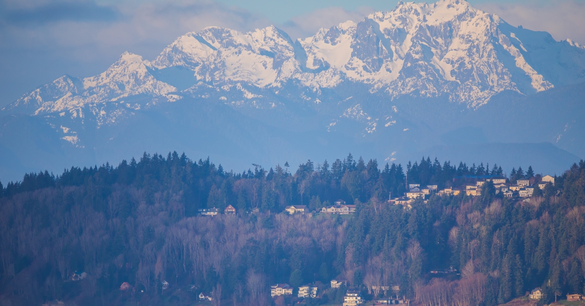 winter scene of homes near kingston