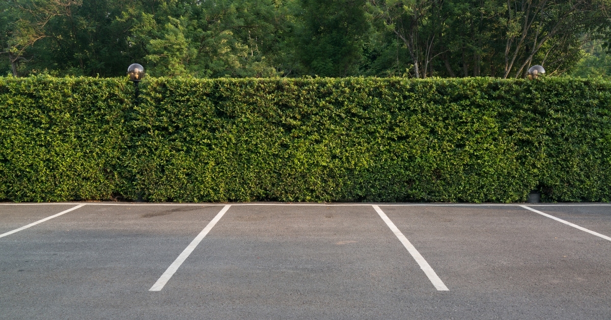 parking lot with foliage wall