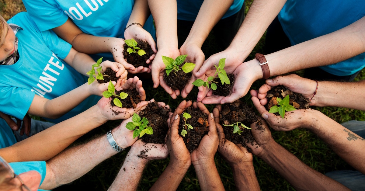 volunteers planting trees together