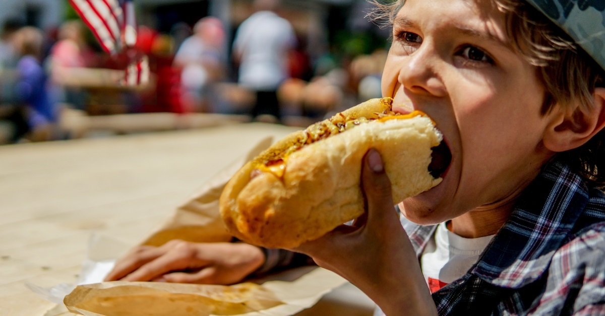 boy eating hot dog on picnic